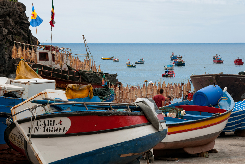 321_Madera_Camara de Lobos.jpg